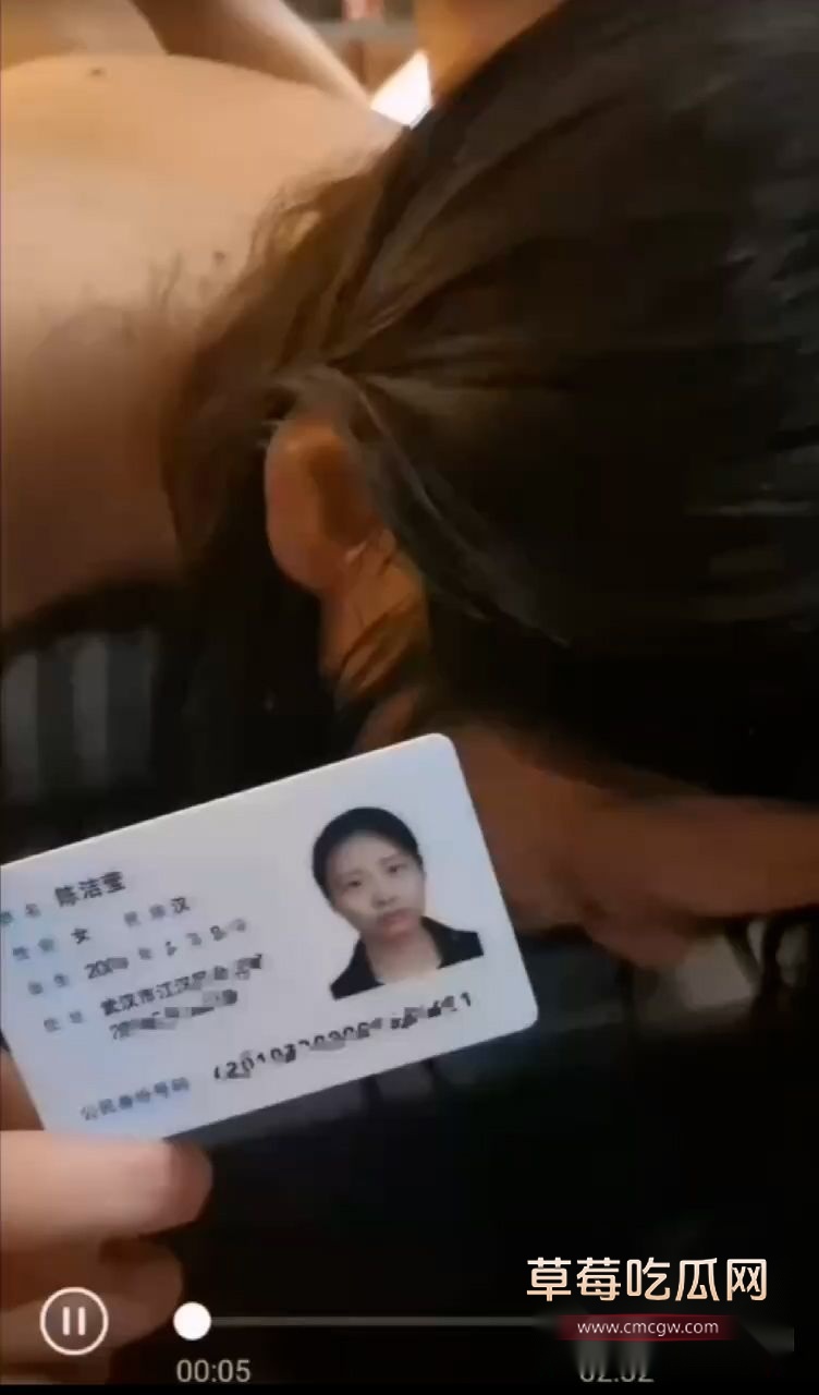 武汉大学陈洁莹2