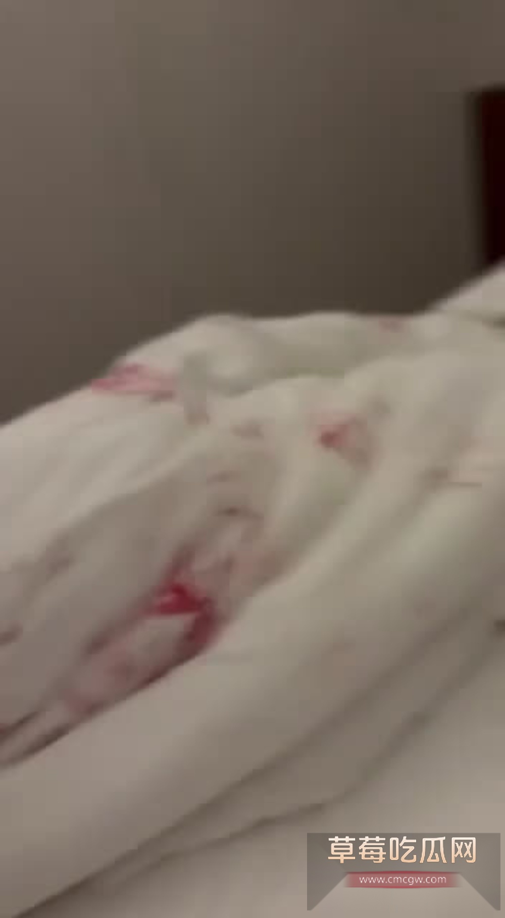 video202510141751400002 video202510141751400002