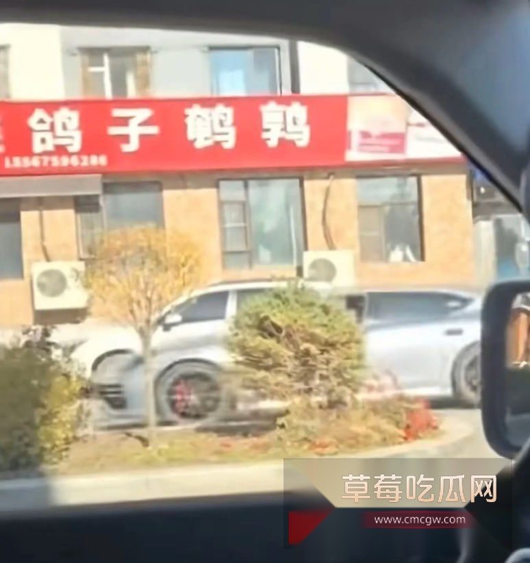 长白山万历烧鸽子鹌鹑2 长白山万历烧鸽子鹌鹑2