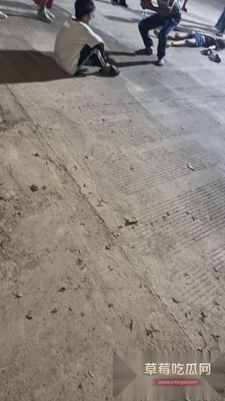 广东省汕头14岁女孩被殴打致死 14