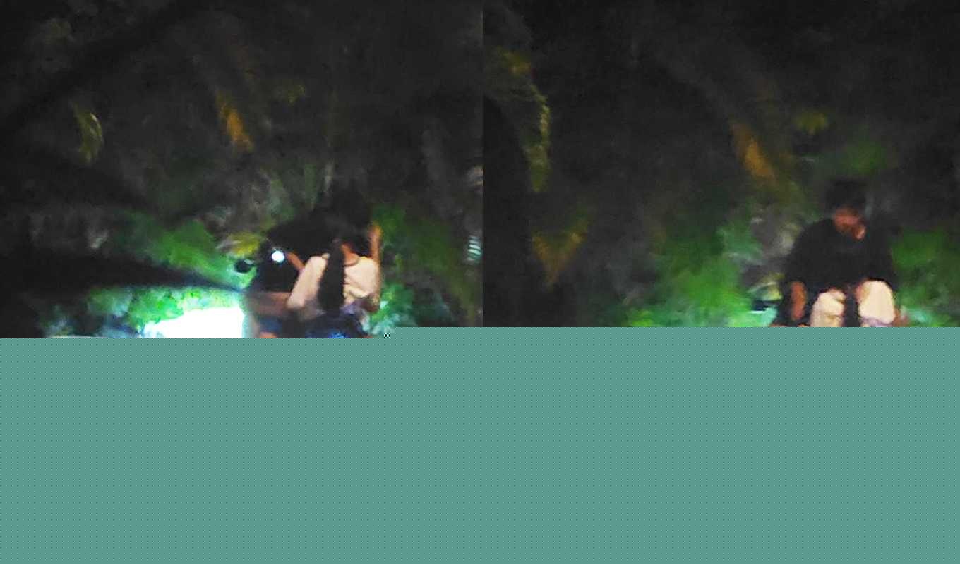 九号电动车.jpg 九号电动车.jpg