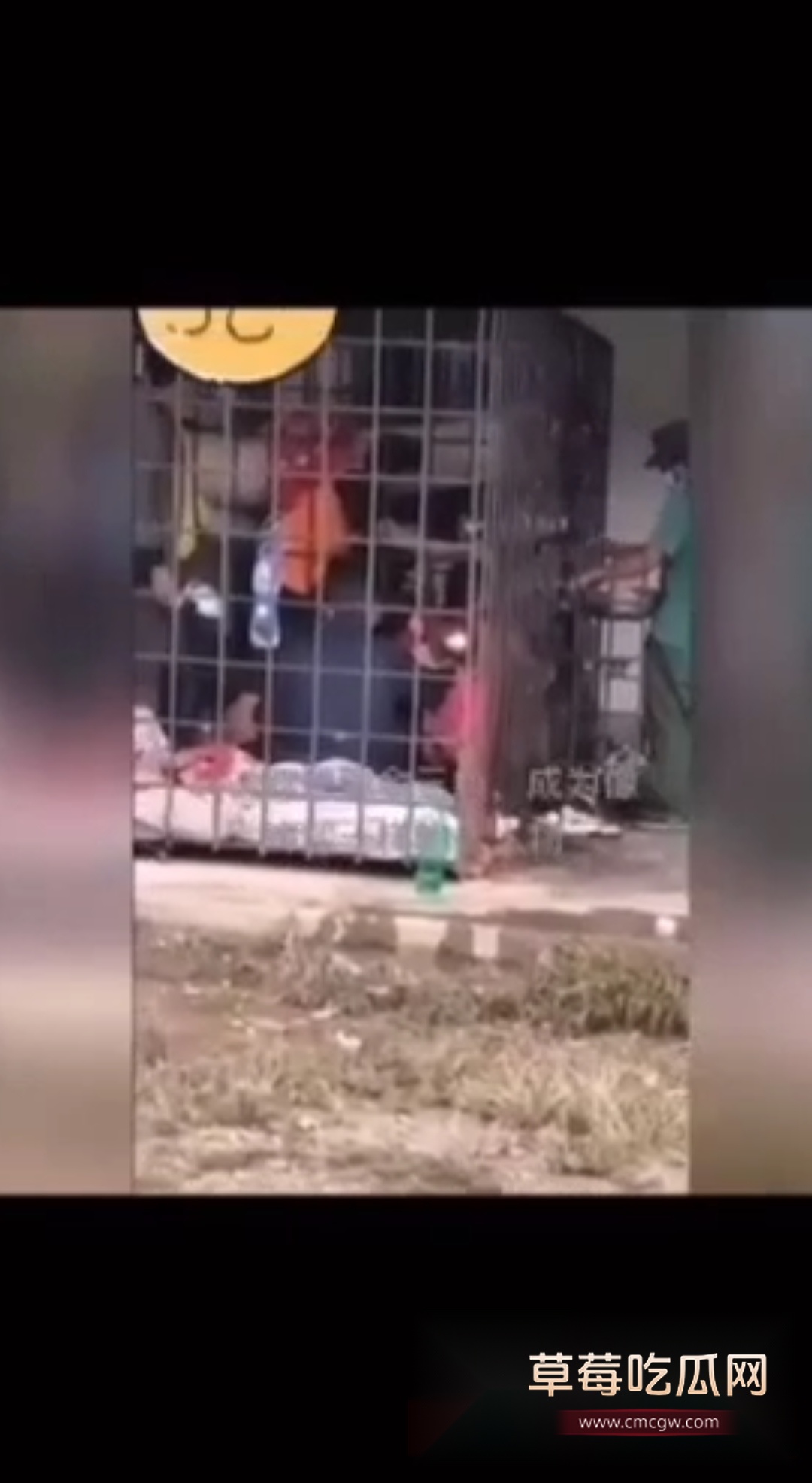 东南亚电诈园区内部资料泄漏 2