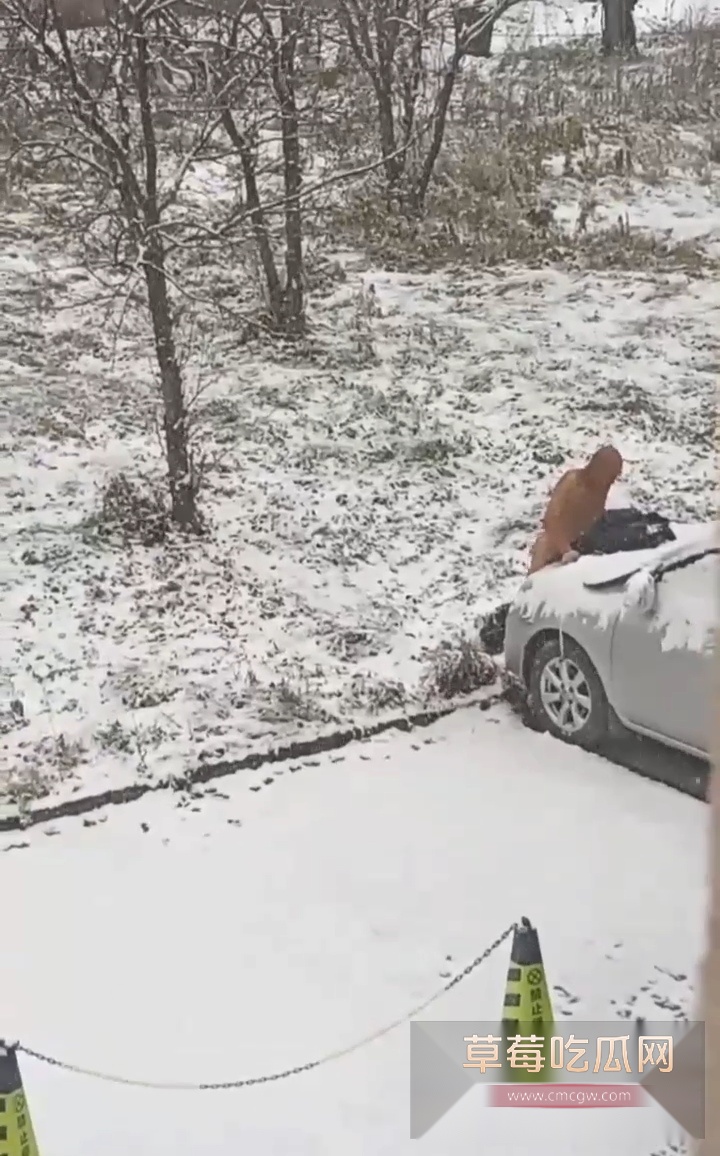 71e0d20eee75426aaa6ecc7ab70593cc