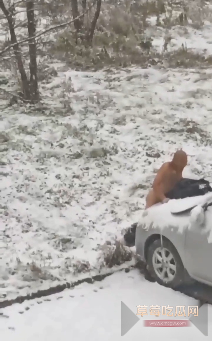 713cb866b32141bfb99c0b677347c177