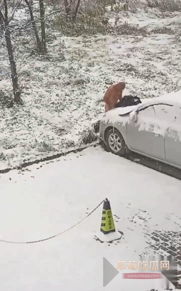 bcaaf6c8527b4502899cb31f2d9db8c3