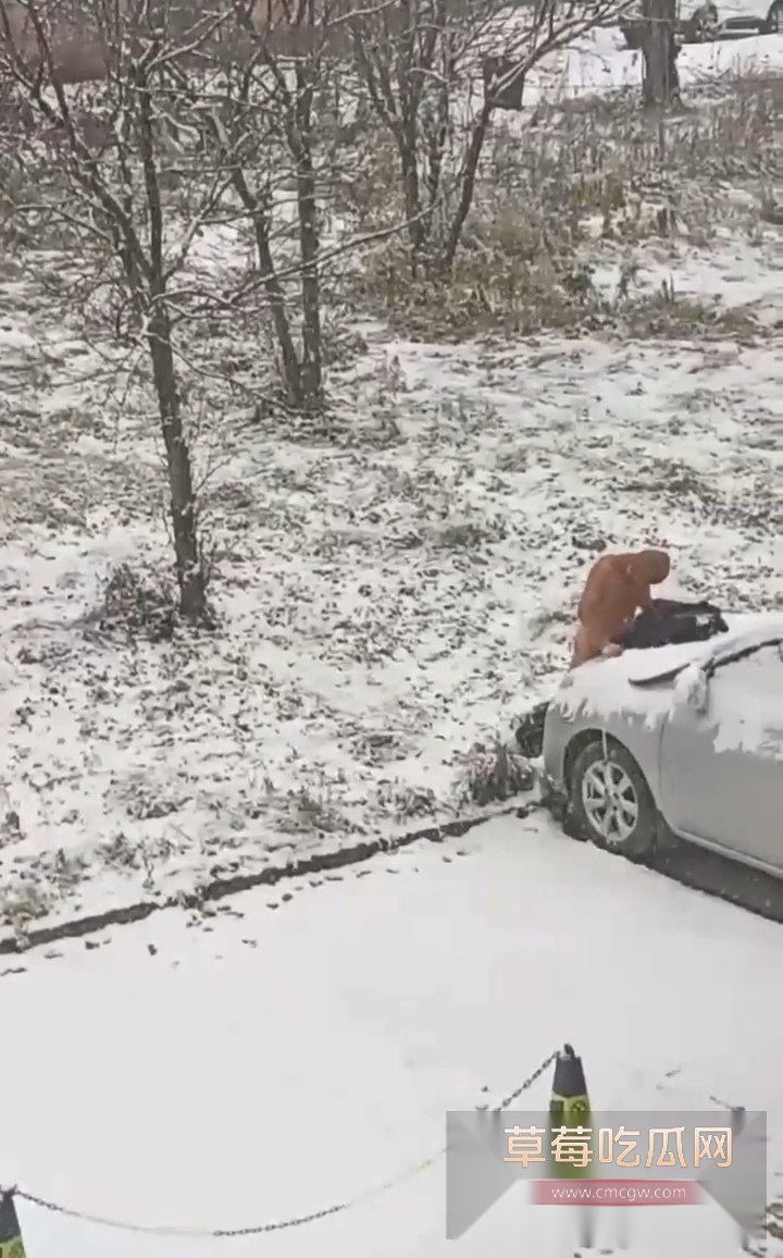 fea10da8784240b2a7a3a27f8d4ce071