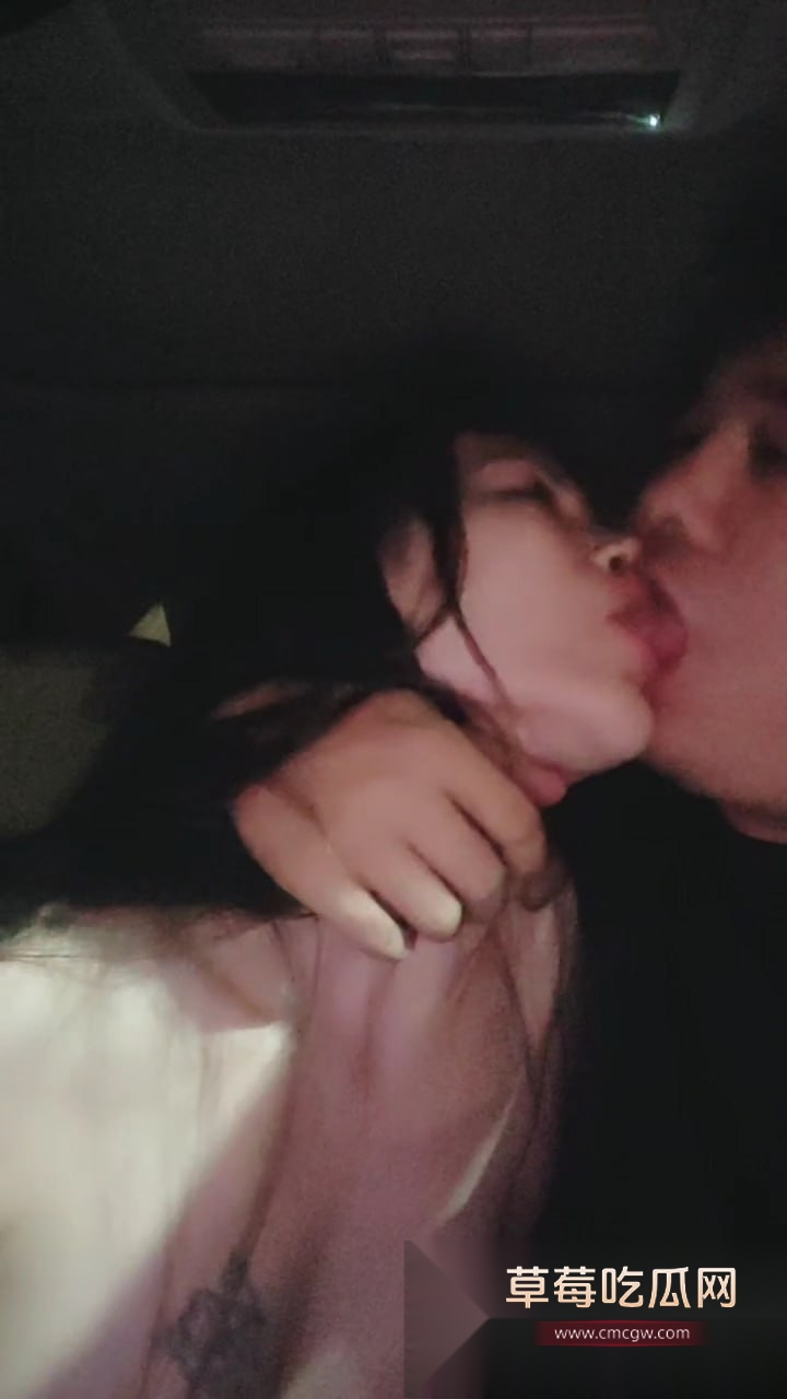 推特极品少妇 不知天地为何物 直播开滴滴流动卖逼 粉丝坐车可免费打炮 加油站厕所成专属刺激炮房！ 5