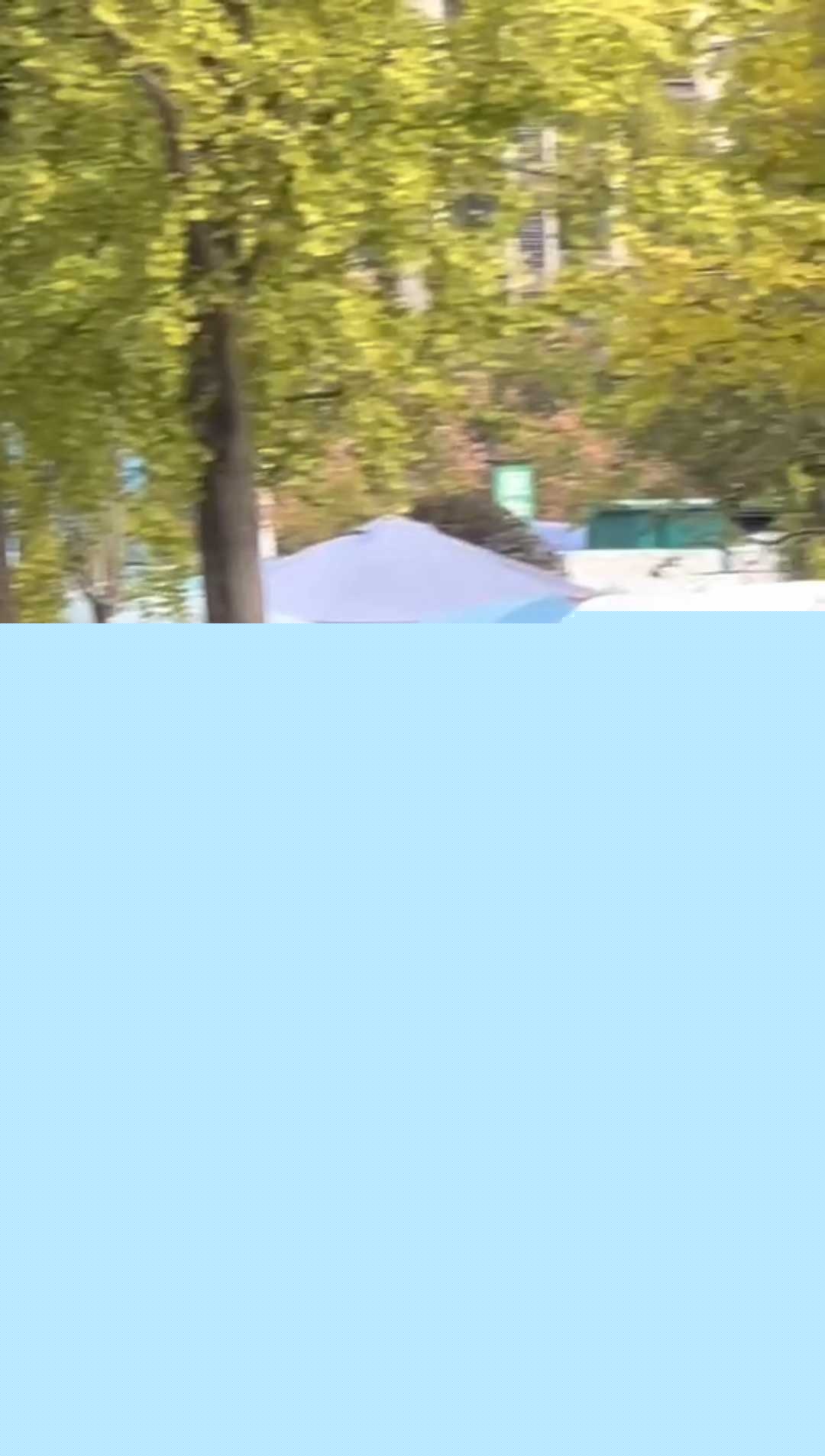 安徽砀山街道上惊现狮子狂奔 1 安徽砀山街道上惊现狮子狂奔 1