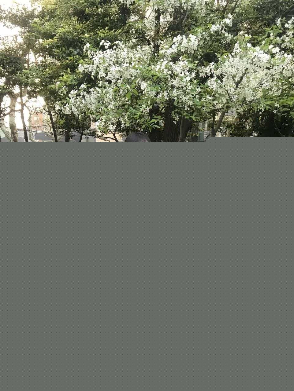 上海富二代大哥包养中日混血妹子 14