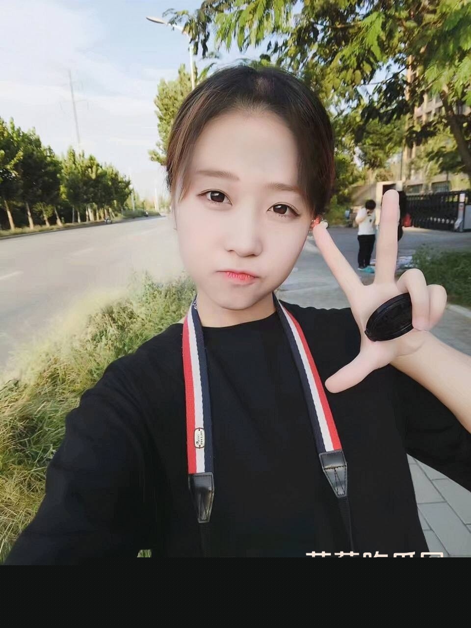 山东邹城马晨阳 20 山东邹城马晨阳 20