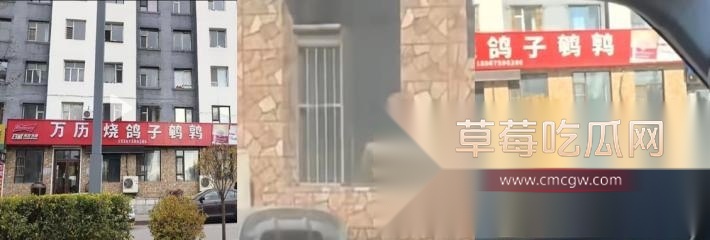 万历烧鸽子后续 15 万历烧鸽子后续 15