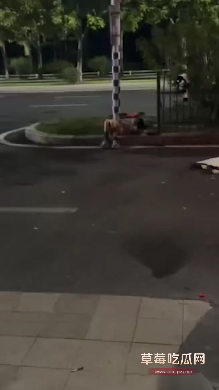 序列 848.00003412.Still005 序列 848.00003412.Still005