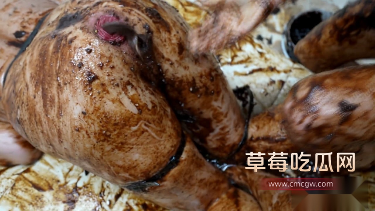 photo20251031172204 photo20251031172204