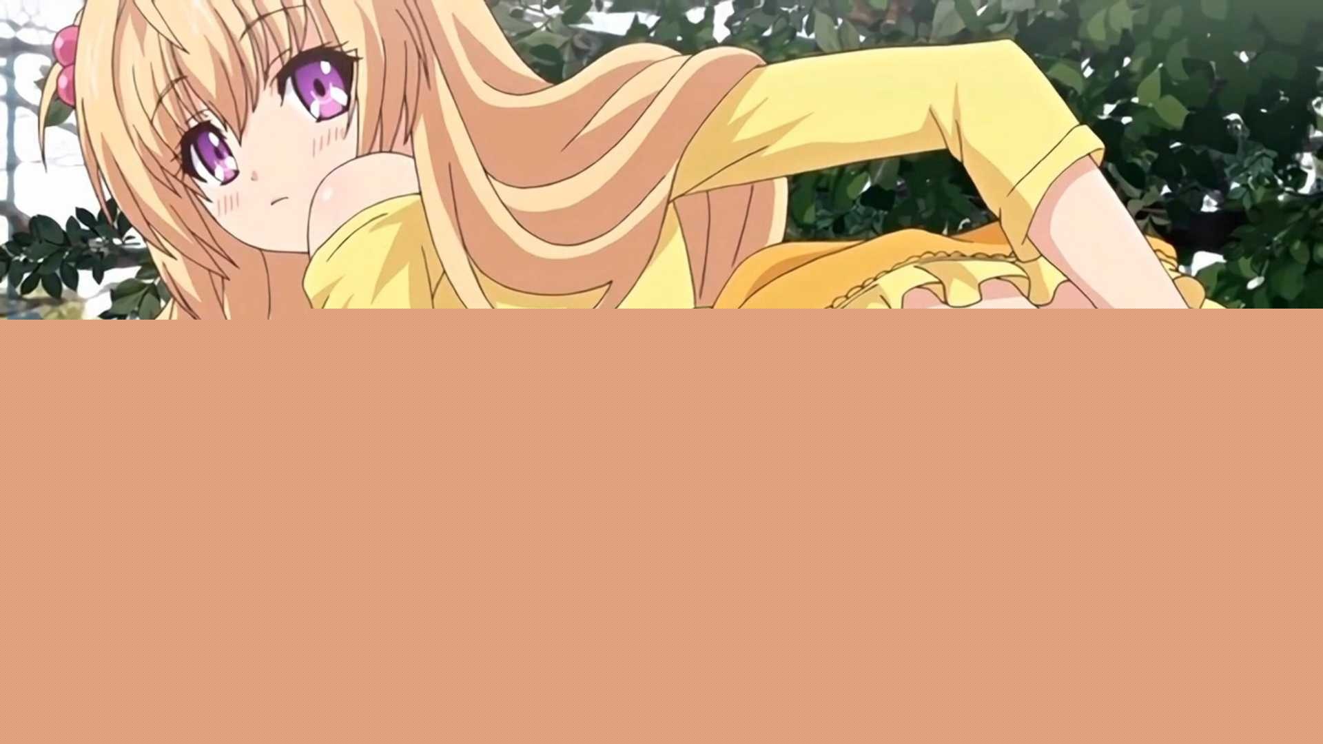 关于让笨妹妹变聪明的只有我的××那件事2 8