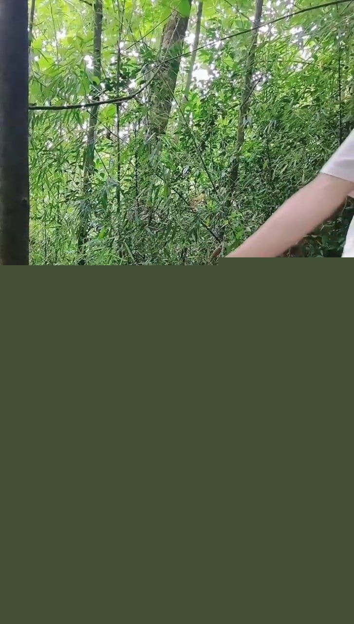 颜值博主李婉儿户外野战直播5 颜值博主李婉儿户外野战直播5