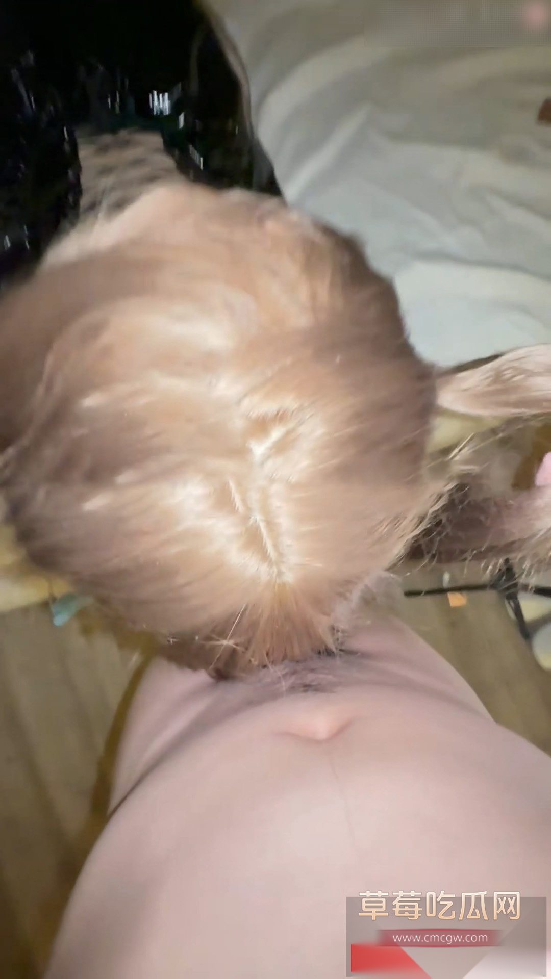 极品颜值萝莉 H  1