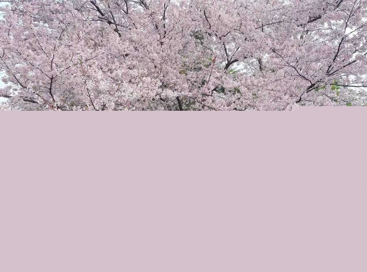 顶级约炮大神深圳第一深情Gdsqx精彩作品2