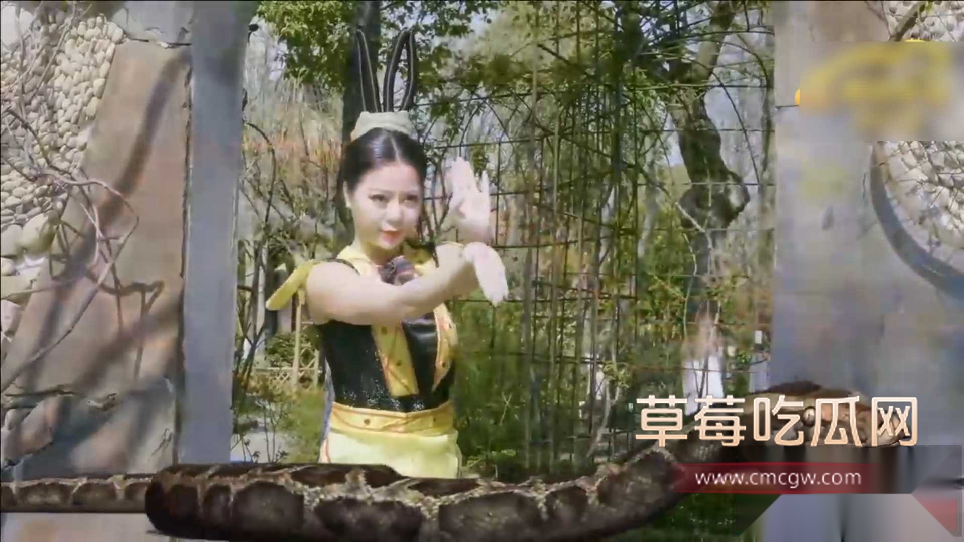 葫芦娃大战蛇精 18 葫芦娃大战蛇精 18