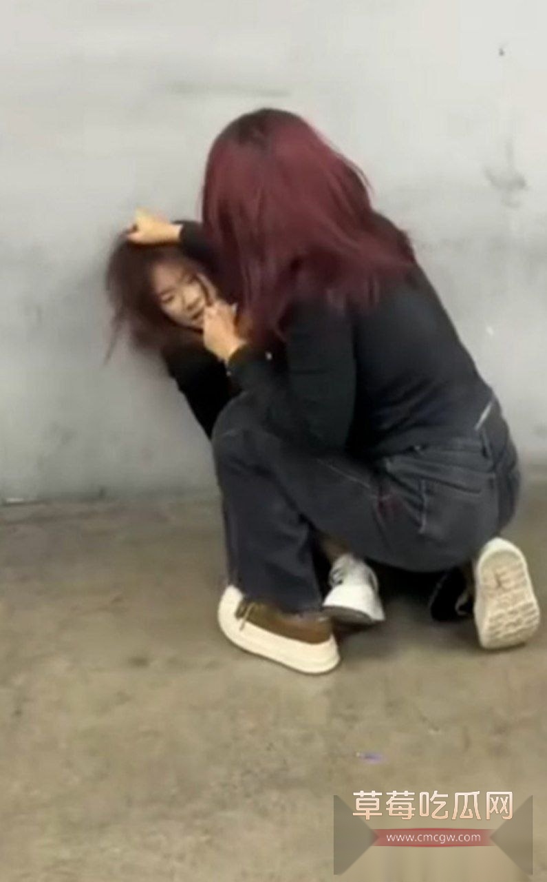 沈阳地下停车场俩精神小妹约架互殴 3 沈阳地下停车场俩精神小妹约架互殴 3