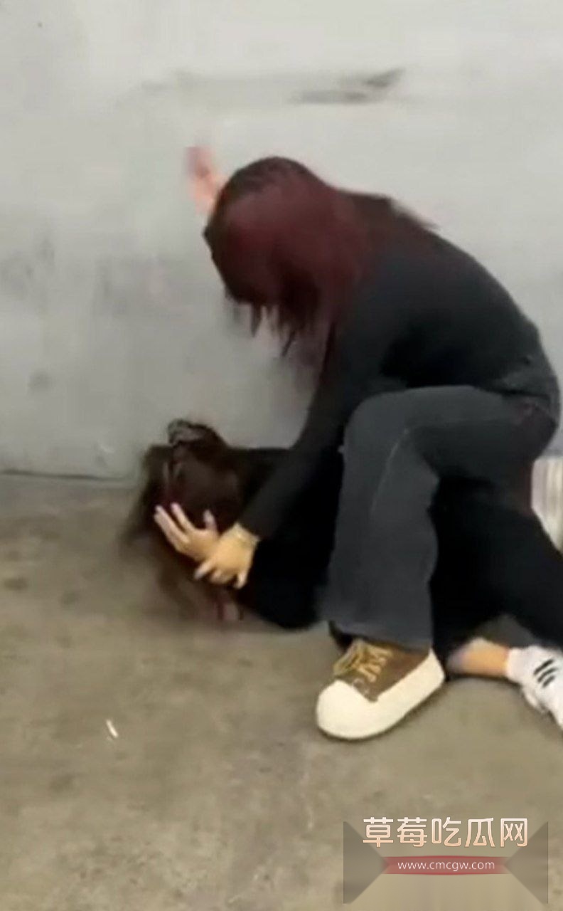 沈阳地下停车场俩精神小妹约架互殴 4 沈阳地下停车场俩精神小妹约架互殴 4