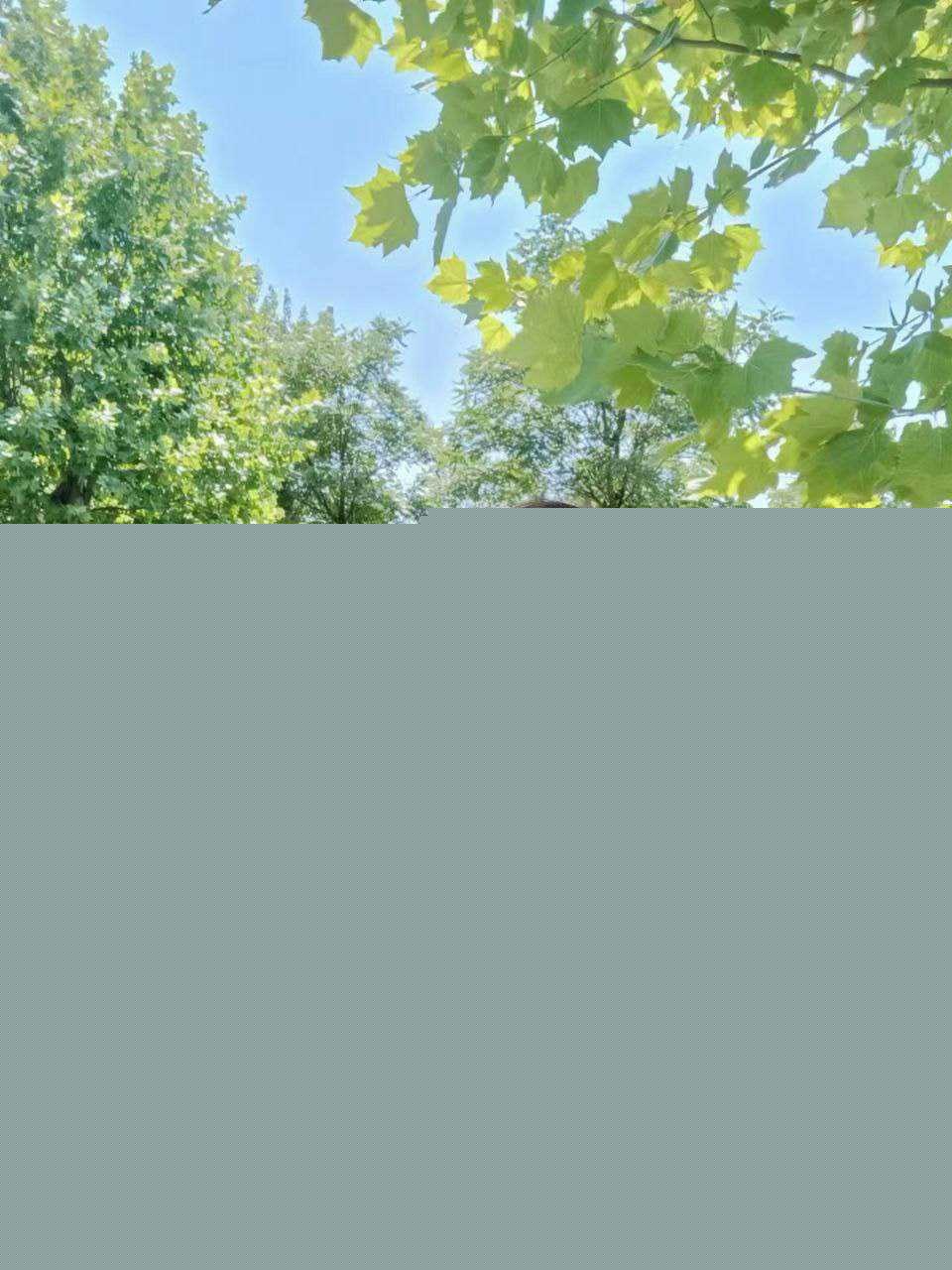 AV剧情再次照进现实 16