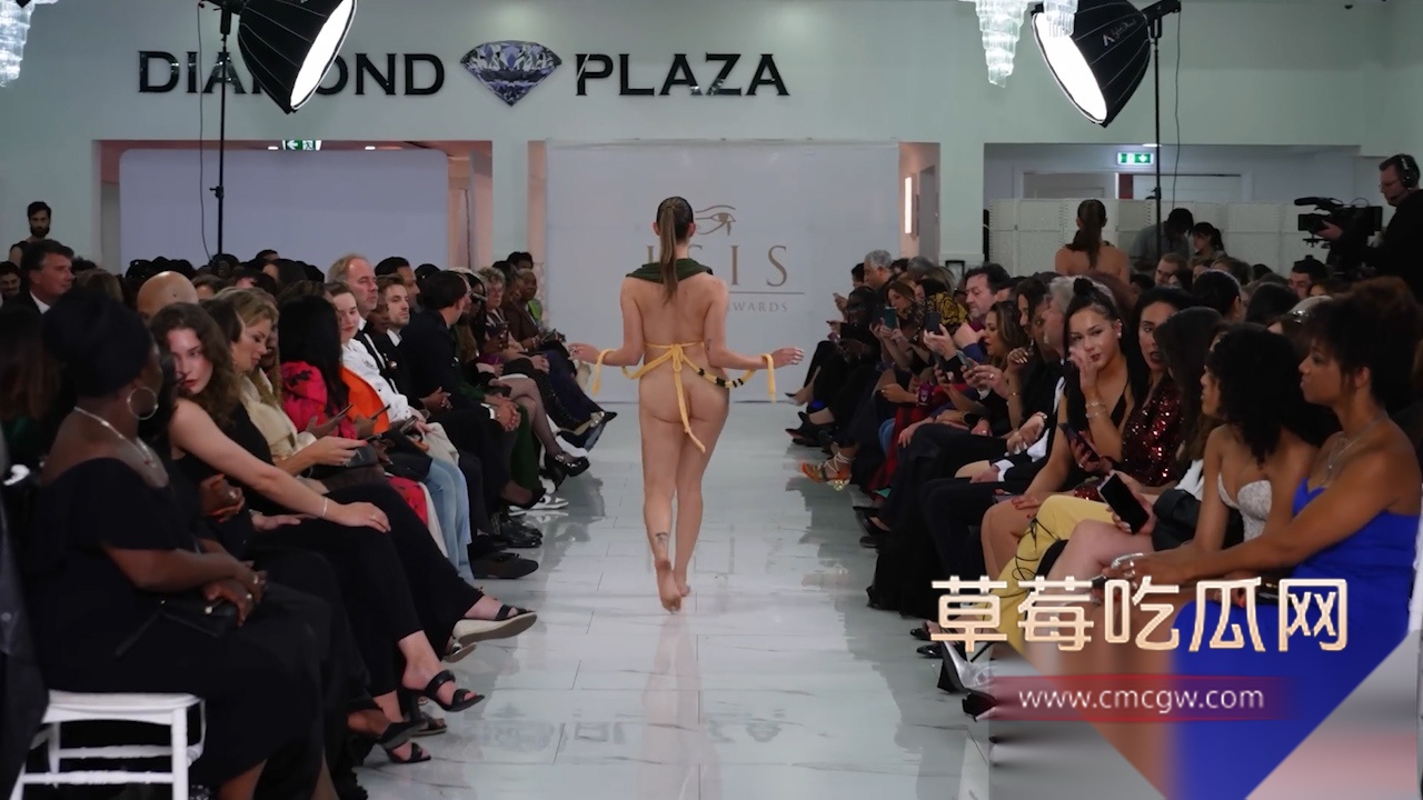 序列 917.00002701.Still002