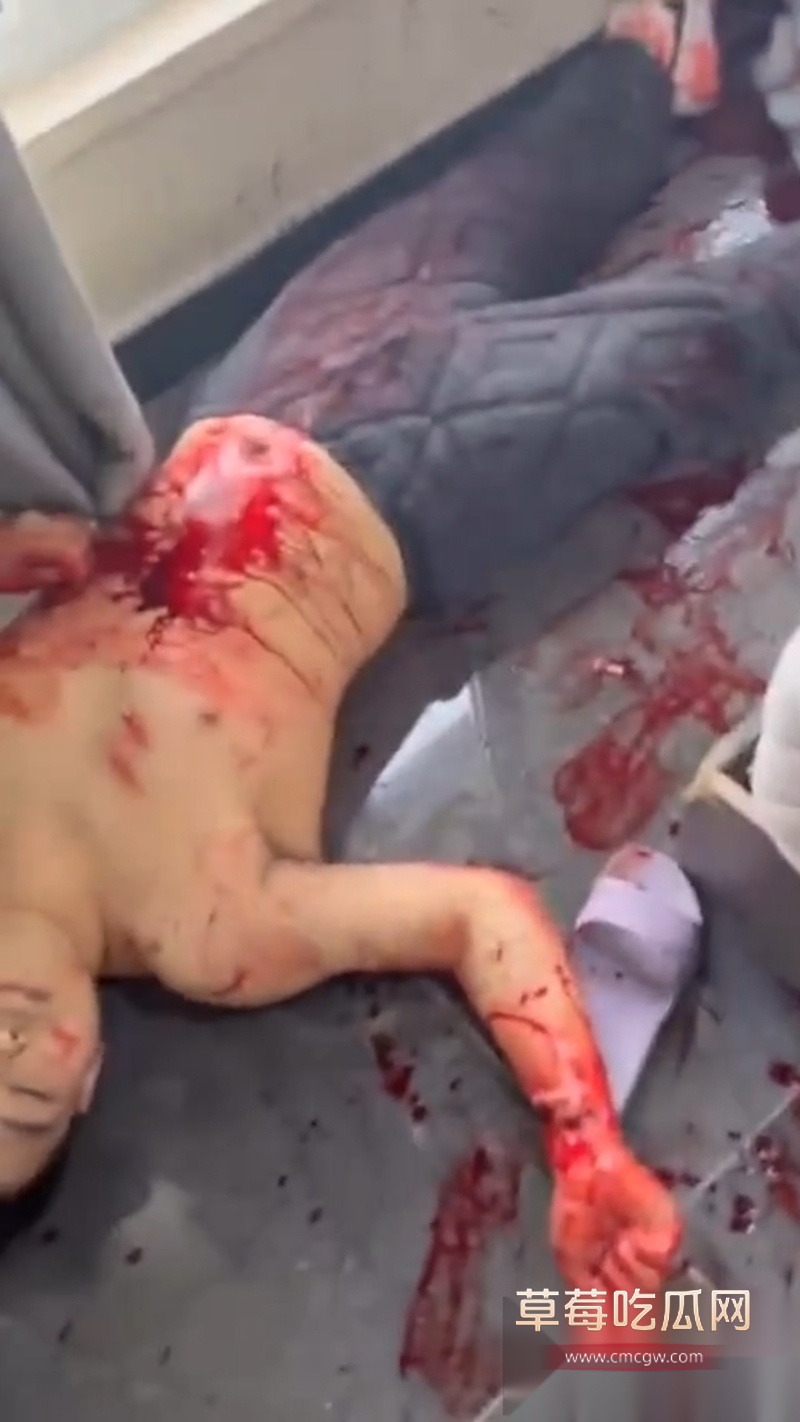 吉林长春万达公寓发生血腥捅人事件 一群精神小伙发生暴力冲突 其中有两男被现场捅死 拍摄视频的妹妹疑似是挑唆的始作俑者！ 3