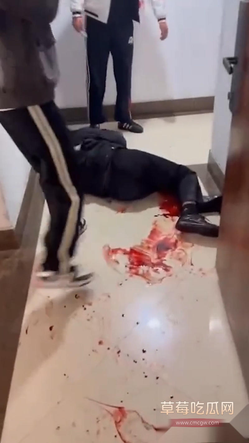吉林长春万达公寓发生血腥捅人事件 一群精神小伙发生暴力冲突 其中有两男被现场捅死 拍摄视频的妹妹疑似是挑唆的始作俑者！ 4