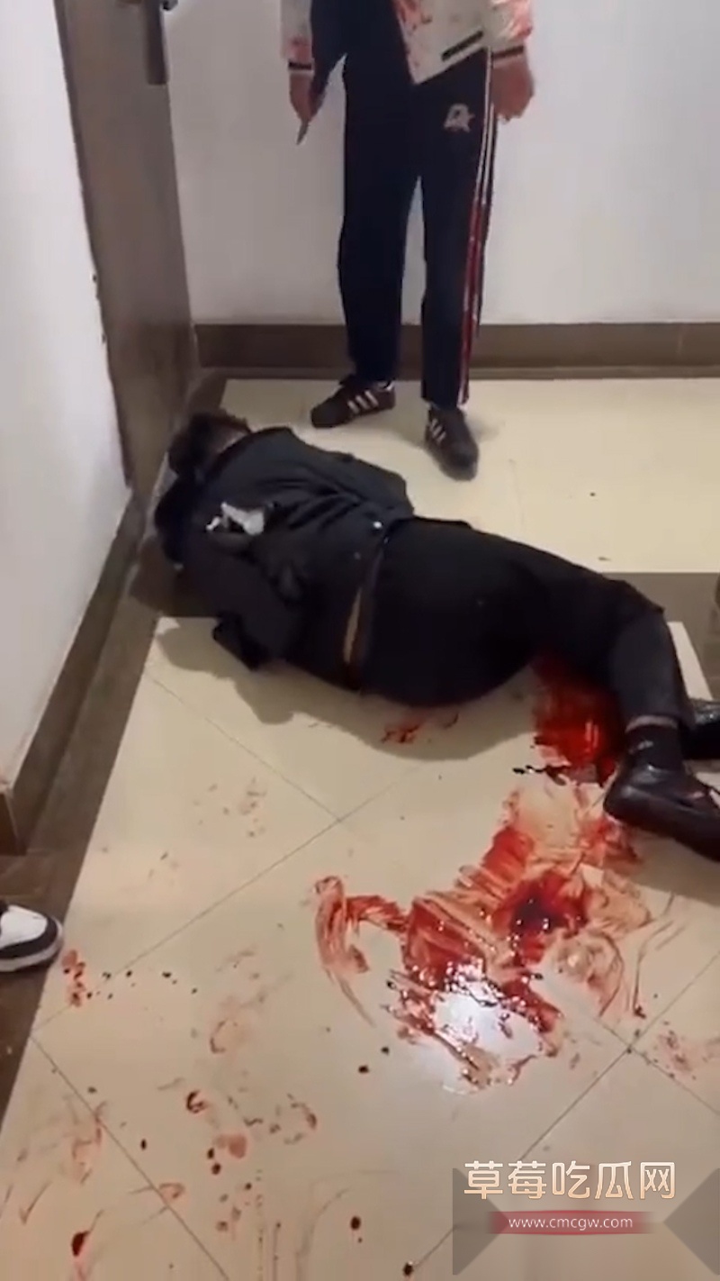 吉林长春万达公寓发生血腥捅人事件 一群精神小伙发生暴力冲突 其中有两男被现场捅死 拍摄视频的妹妹疑似是挑唆的始作俑者！ 5