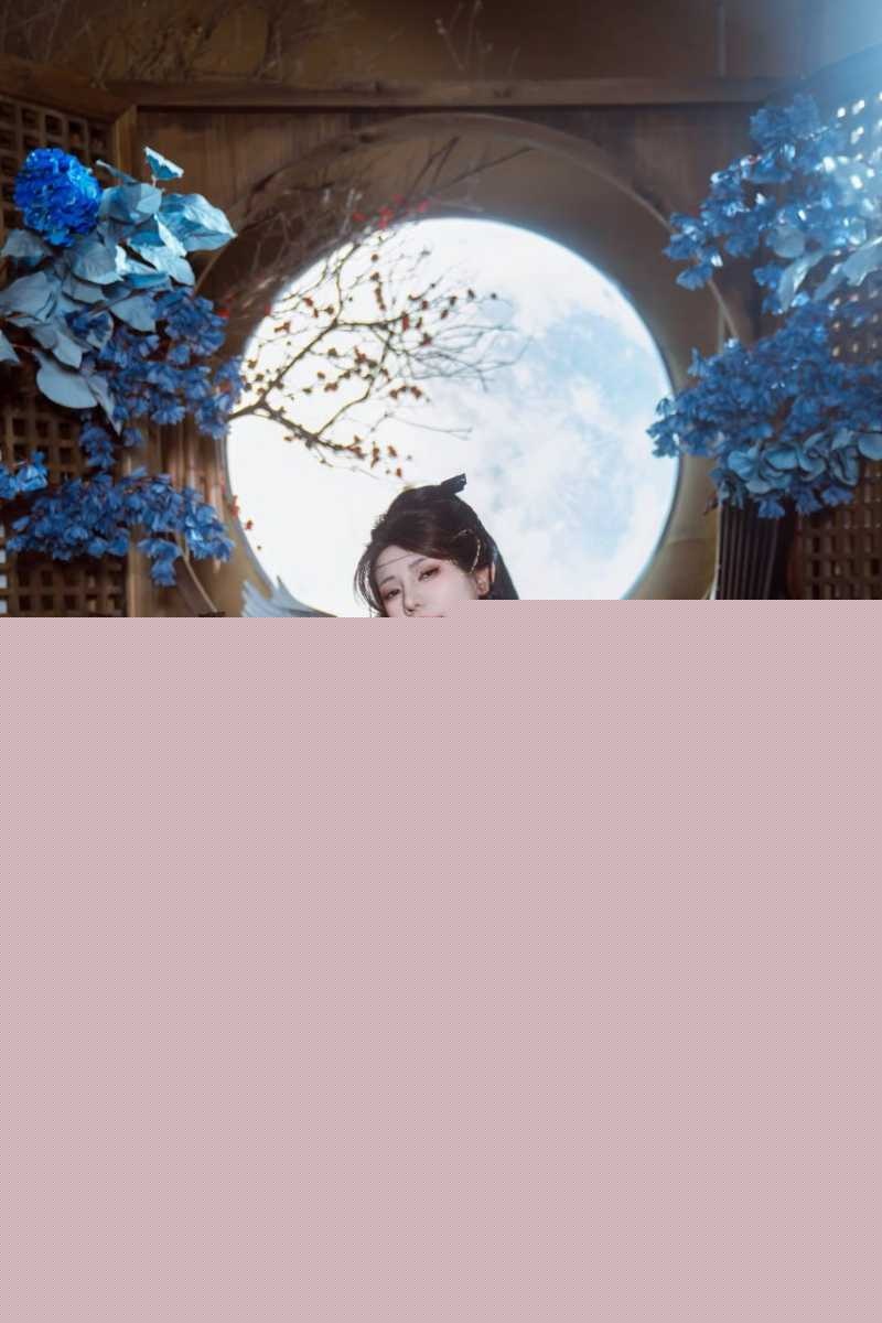 二次元福利姬 7