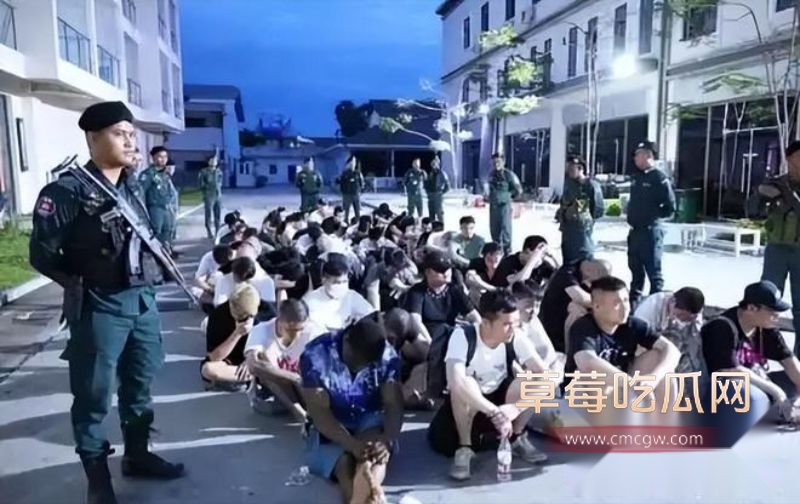 柬埔寨诈骗园区大撤退3