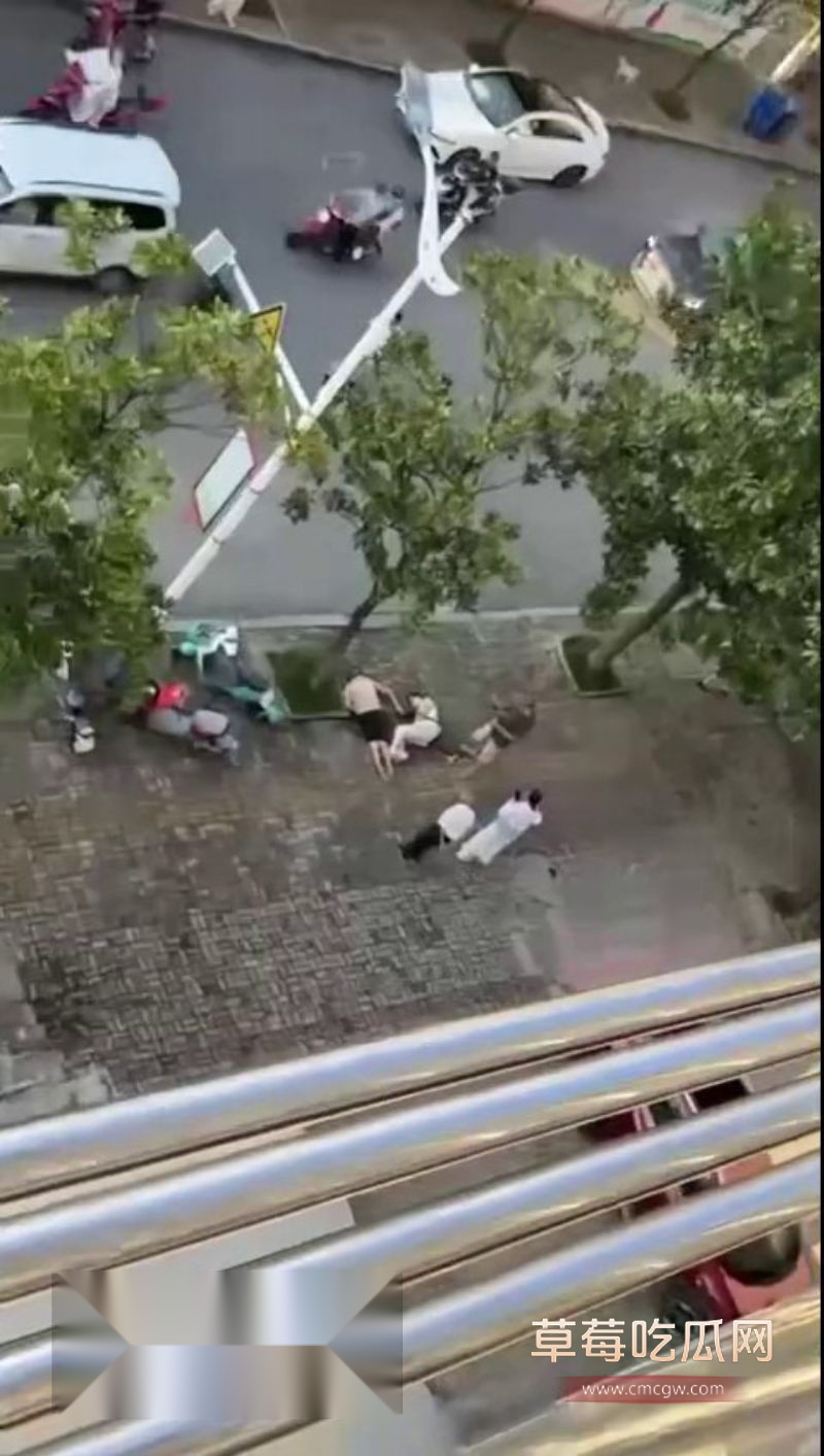 章柃小区的一名少妇出轨被老公当街斩杀4 章柃小区的一名少妇出轨被老公当街斩杀4