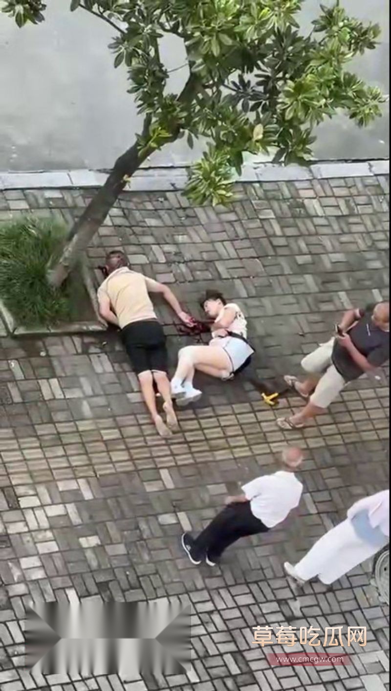 章柃小区的一名少妇出轨被老公当街斩杀5 章柃小区的一名少妇出轨被老公当街斩杀5