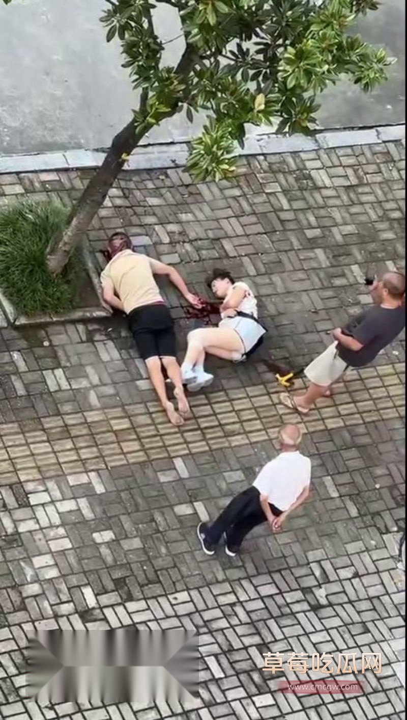 章柃小区的一名少妇出轨被老公当街斩杀6 章柃小区的一名少妇出轨被老公当街斩杀6