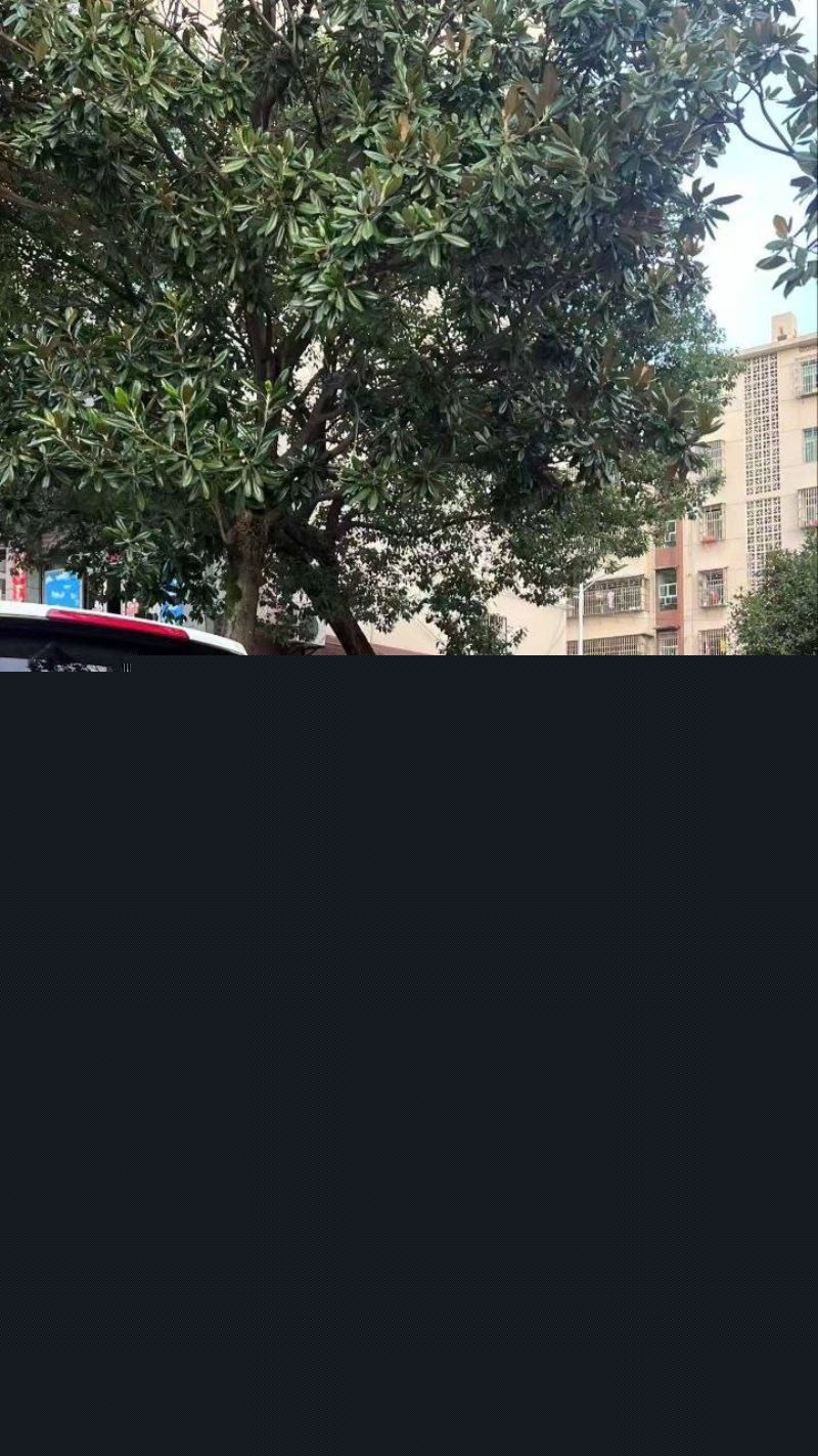 章柃小区的一名少妇出轨被老公当街斩杀8 章柃小区的一名少妇出轨被老公当街斩杀8