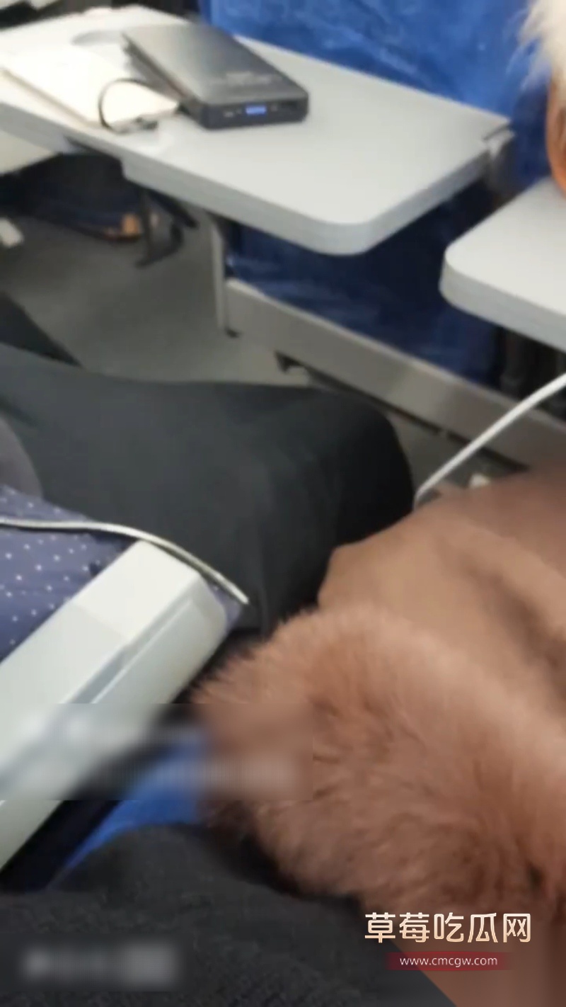 娜美妖姬高铁露出 3