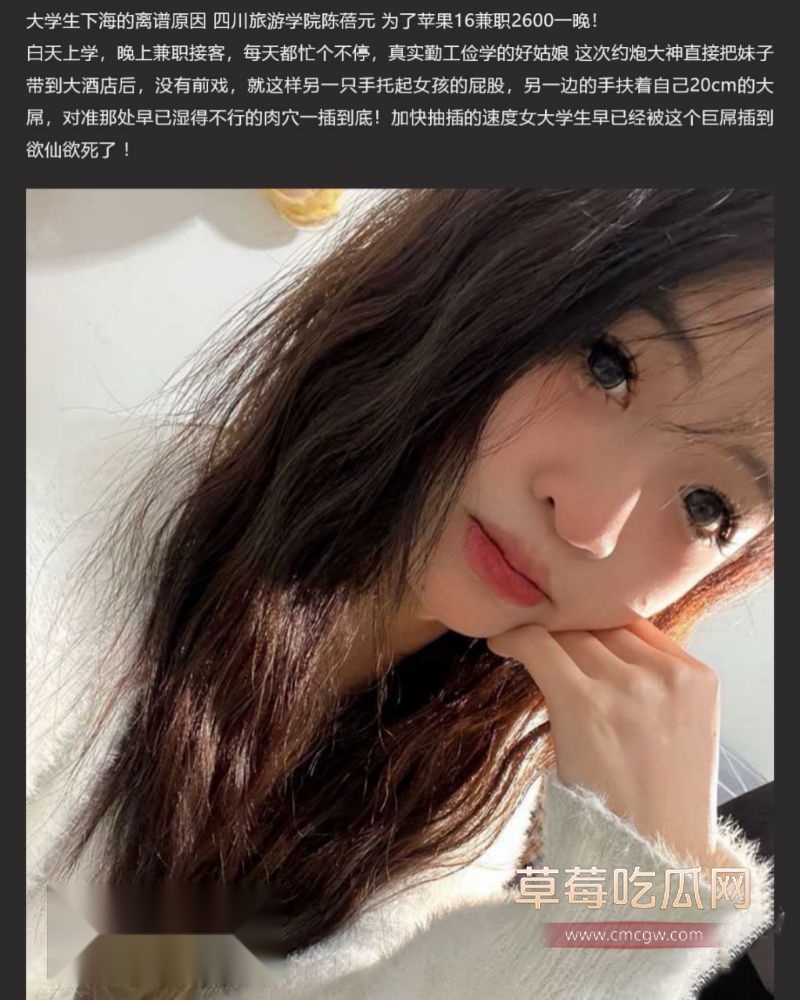 四川旅游学院陈蓓元1