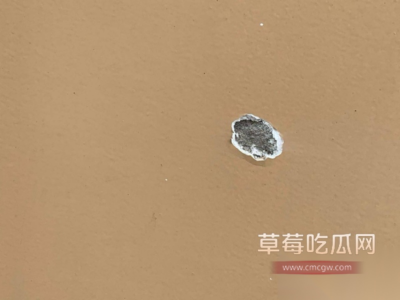 越南大嫂冯静劫柬埔寨囚车案后续 为爱勇劫法场的大嫂在救出男友后被警方抓获 现场采访记者不知意欲何为竟对大嫂动手动脚! 14 越南大嫂冯静劫柬埔寨囚车案后续 为爱勇劫法场的大嫂在救出男友后被警方抓获 现场采访记者不知意欲何为竟对大嫂动手动脚! 14