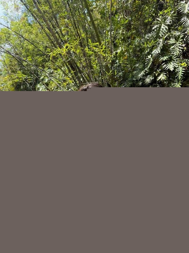 翘臀肛交肠道外翻 6 翘臀肛交肠道外翻 6