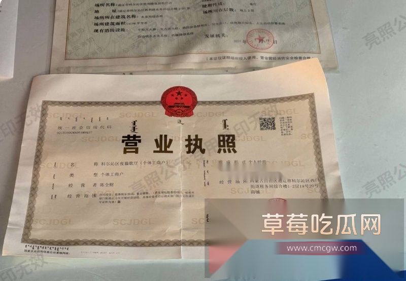 快手1150w粉丝大网红老狗前妻白羽直播控诉老狗不仅出轨女徒 13