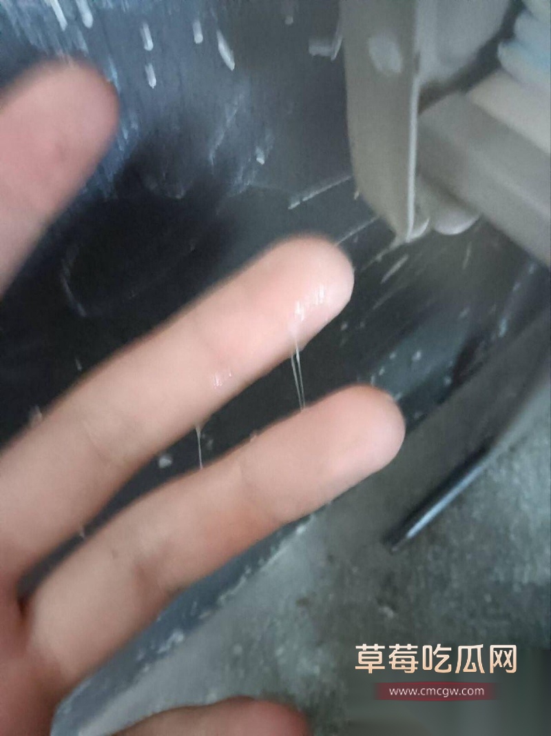 photo320251121211717W800px photo320251121211717W800px