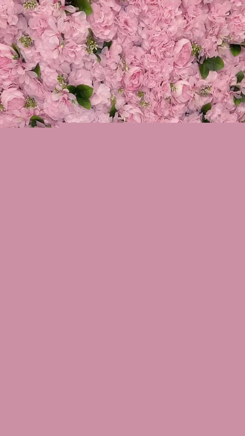 tasotisan轻薄睡衣Cosplay自慰 4 tasotisan轻薄睡衣Cosplay自慰 4