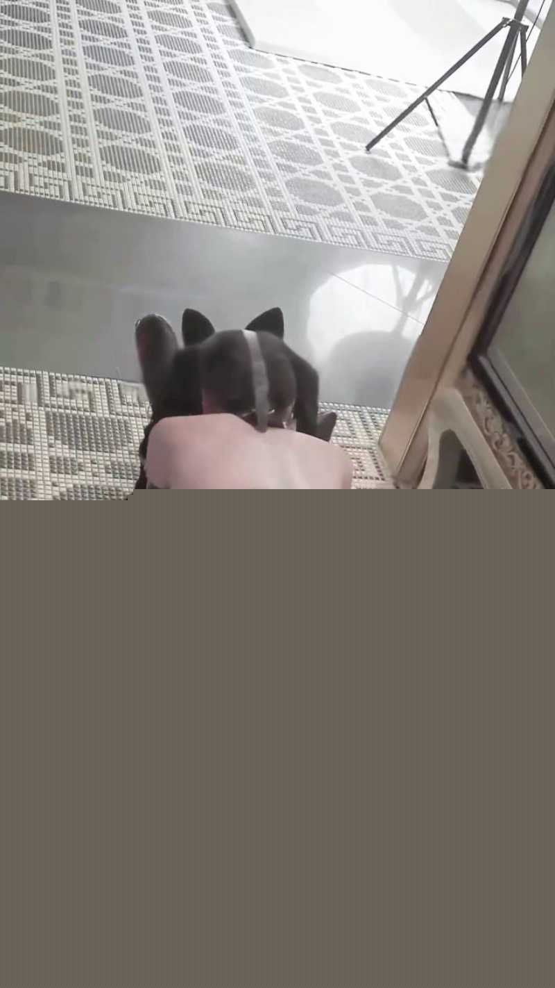 奶凶大人豹纹黑丝反差操逼 9 奶凶大人豹纹黑丝反差操逼 9