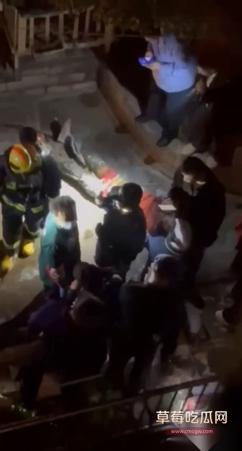 亲生儿子把父亲一家四口全部砍死 2 亲生儿子把父亲一家四口全部砍死 2