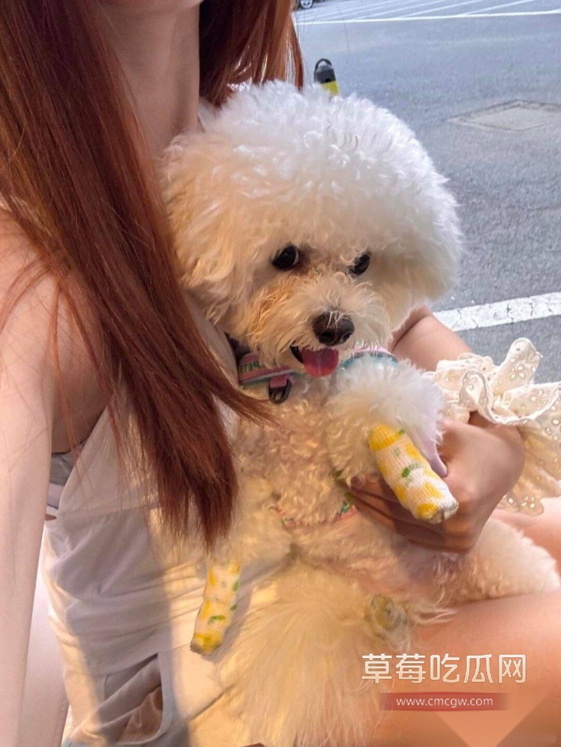 顶级约炮大神 深圳第一深情Gdsqx 19