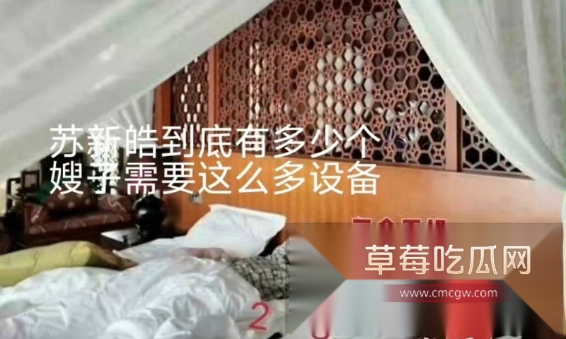 TOP登陆少年苏新皓被多位嫂子联手曝光脚踩几条船事实 21 TOP登陆少年苏新皓被多位嫂子联手曝光脚踩几条船事实 21