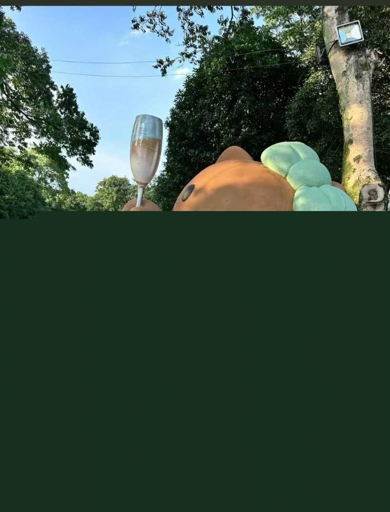 石家庄超高颜值女神张舒怡 9 石家庄超高颜值女神张舒怡 9