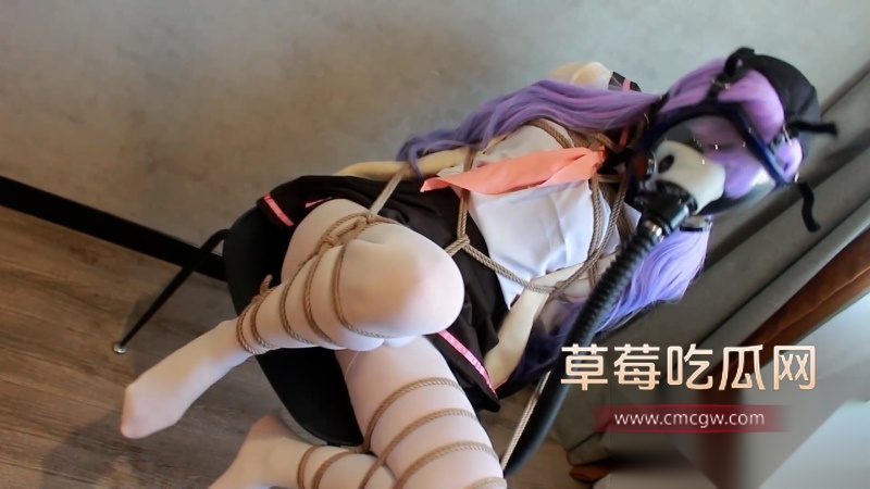 双层套头真空窒息 3