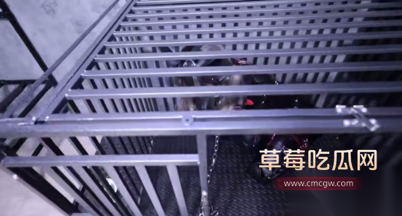 图片2025112513313110623