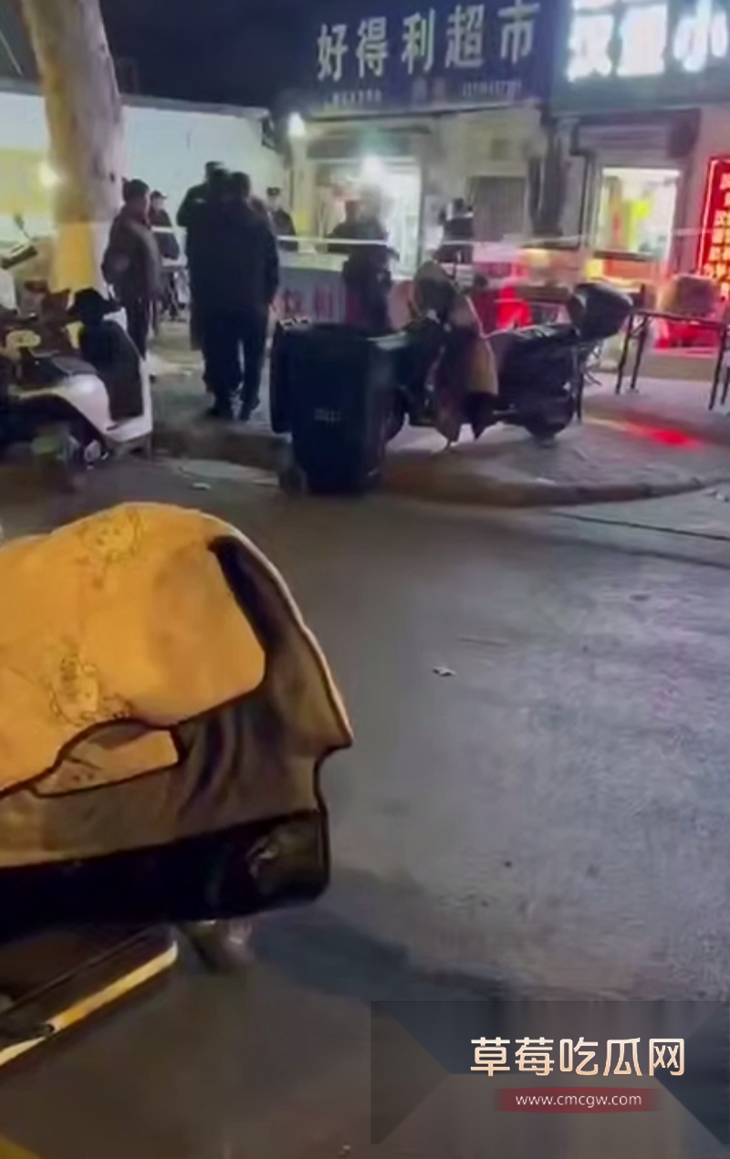 新浦中学精神小伙因父母不给钱上网 一怒之下带人把父母砍死 4